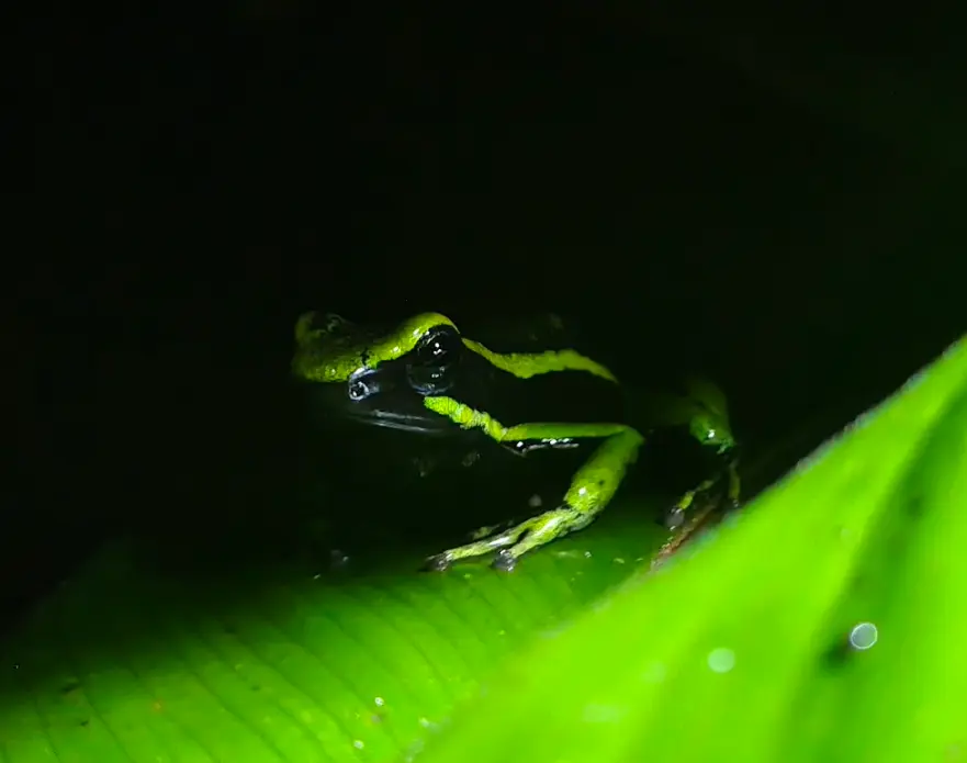 Biodiversity monitoring and habitat protection